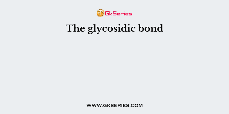 The glycosidic bond