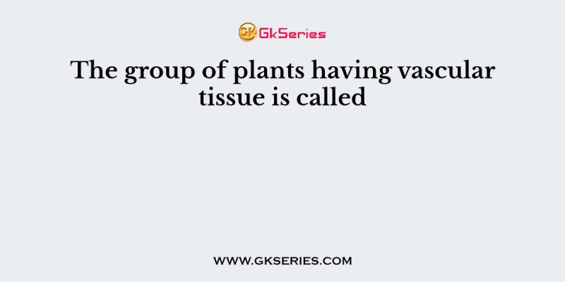 The group of plants having vascular tissue is called