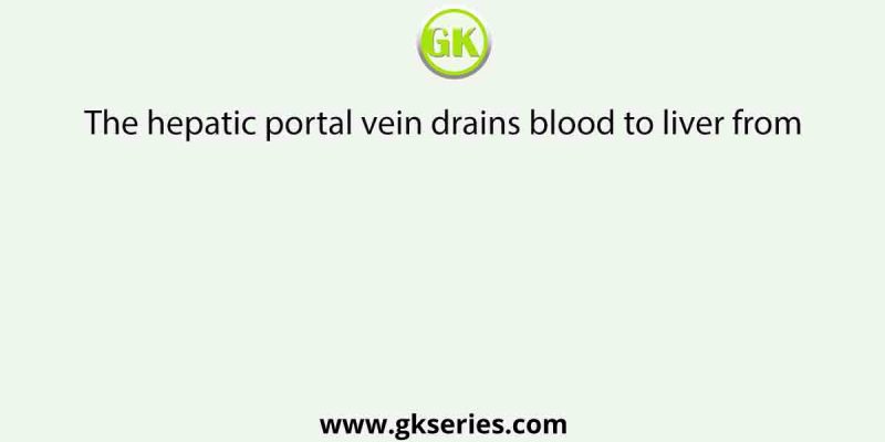 The hepatic portal vein drains blood to liver from
