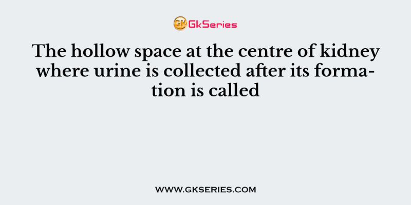 The hollow space at the centre of kidney where urine is collected after its formation is called
