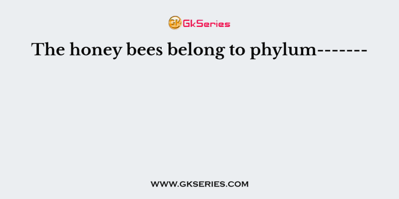 The honey bees belong to phylum——-