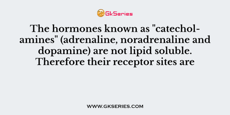 The hormones known as “catecholamines” (adrenaline, noradrenaline and dopamine) are not lipid soluble. Therefore their receptor sites are