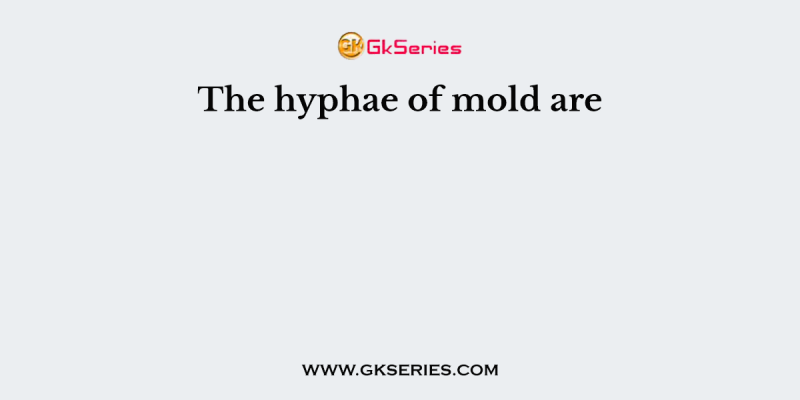 The hyphae of mold are