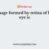 The phenomena of light responsible for the working of the human eye is