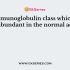 The class of an immunoglobulin