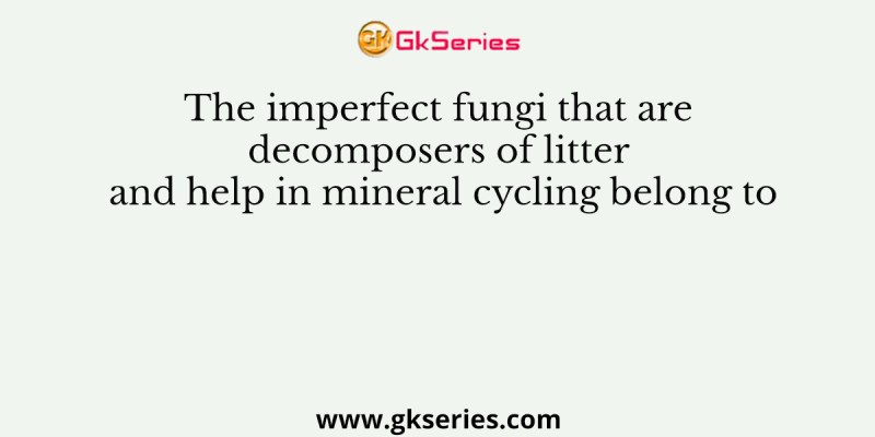 The imperfect fungi that are decomposers of litter and help in mineral cycling belong to