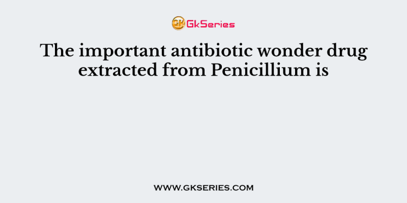The important antibiotic wonder drug extracted from Penicillium is