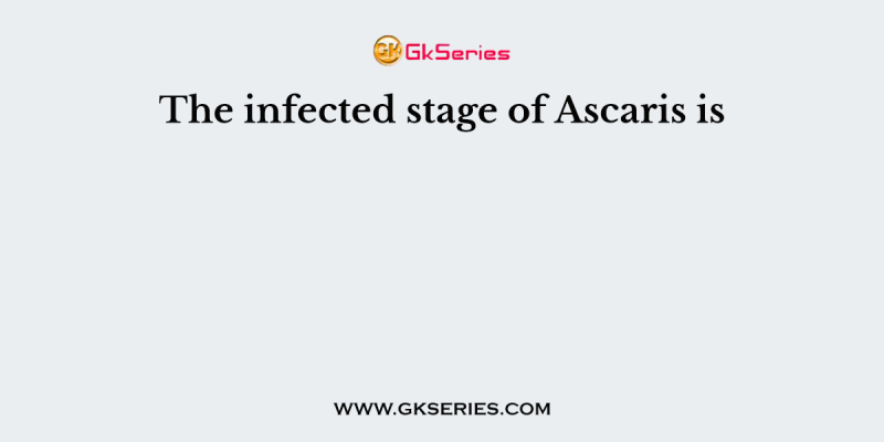 The infected stage of Ascaris is