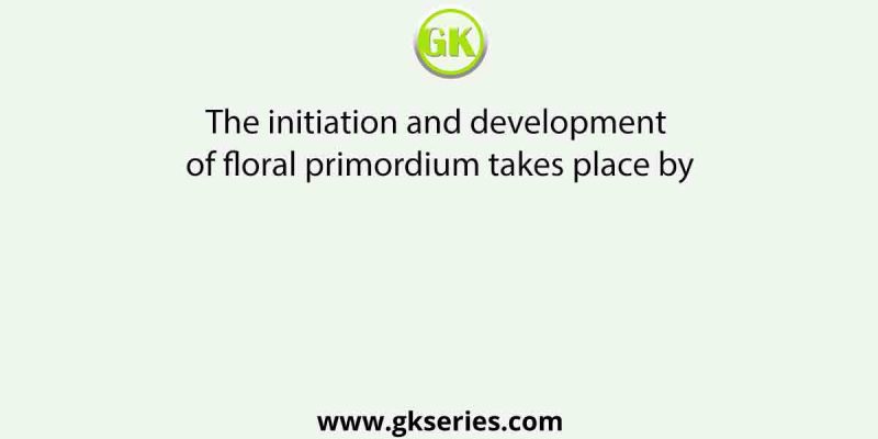 The initiation and development of floral primordium takes place by