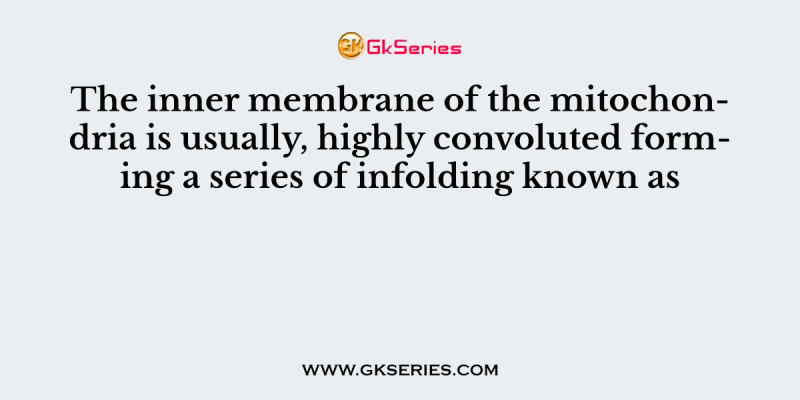 The inner membrane of the mitochondria is usually, highly convoluted forming a series of infolding known as