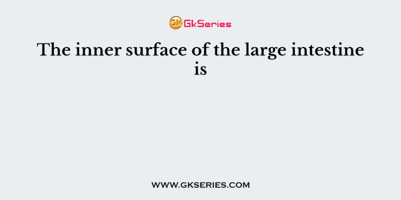 The inner surface of the large intestine is