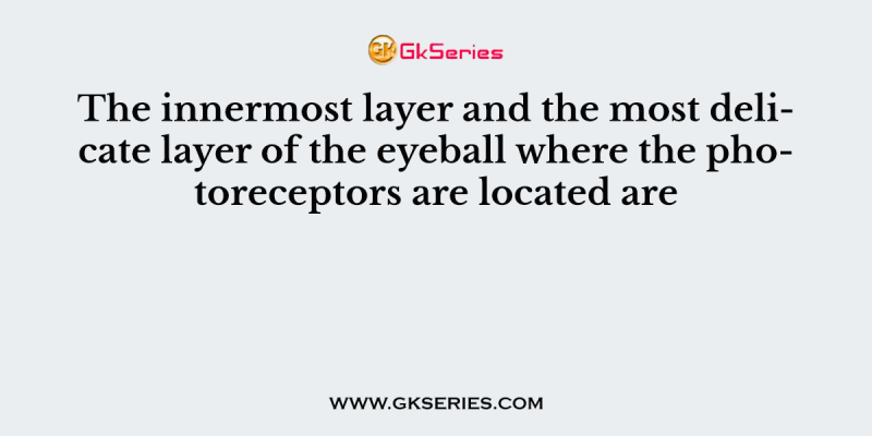 The innermost layer and the most delicate layer of the eyeball where the photoreceptors are located are