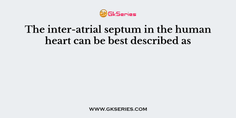 The inter-atrial septum in the human heart can be best described as