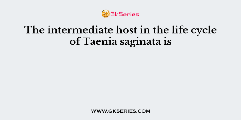The intermediate host in the life cycle of Taenia saginata is