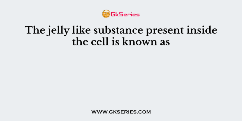 The jelly like substance present inside the cell is known as
