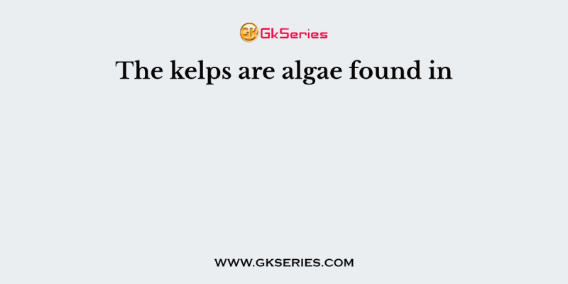The kelps are algae found in