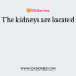 The smallest functional unit of kidney is