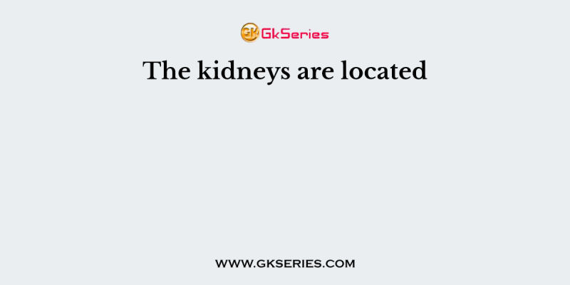 The kidneys are located