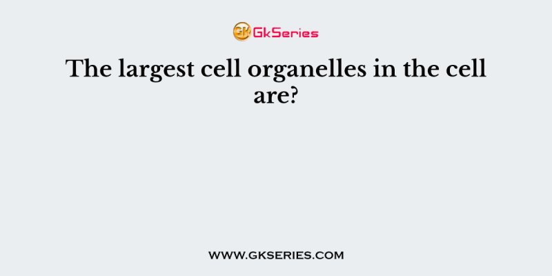 The largest cell organelles in the cell are?