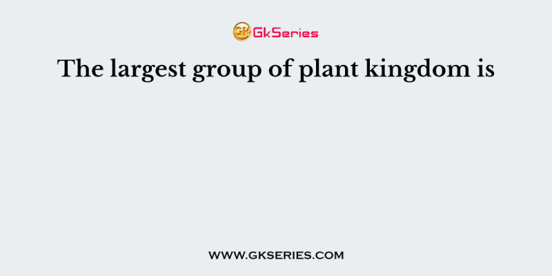 The largest group of plant kingdom is
