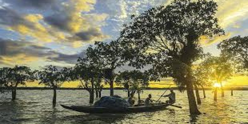 The largest wetland in Assam