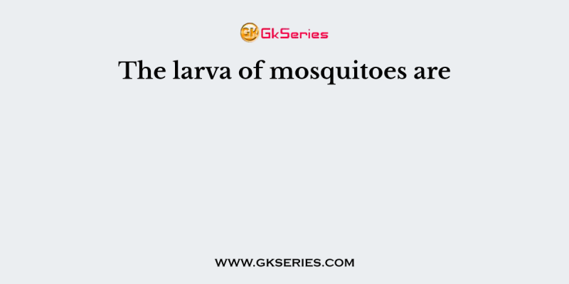 The larva of mosquitoes are