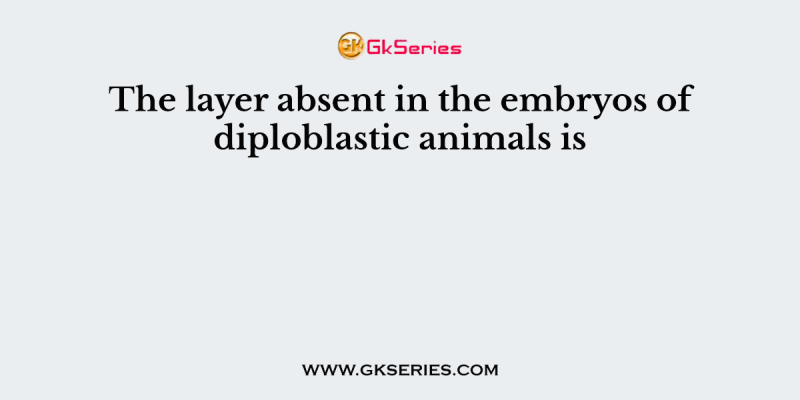 The layer absent in the embryos of diploblastic animals is