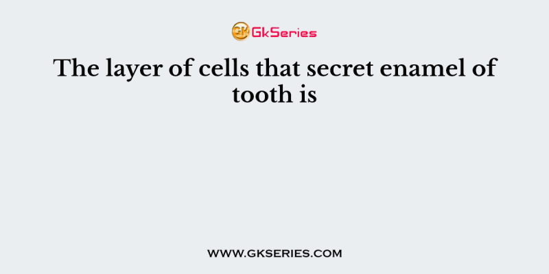 The layer of cells that secret enamel of tooth is