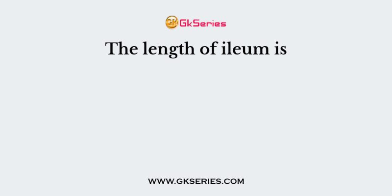 The length of ileum is