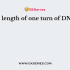 The width of DNA molecule is