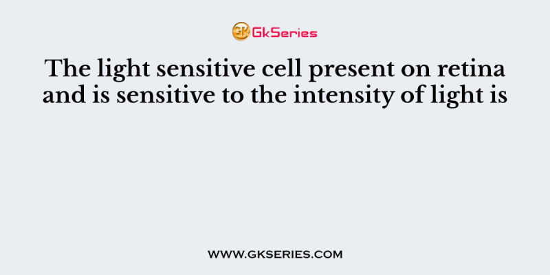 The light sensitive cell present on retina and is sensitive to the intensity of light is