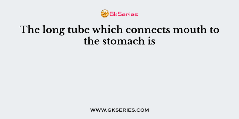 The long tube which connects mouth to the stomach is