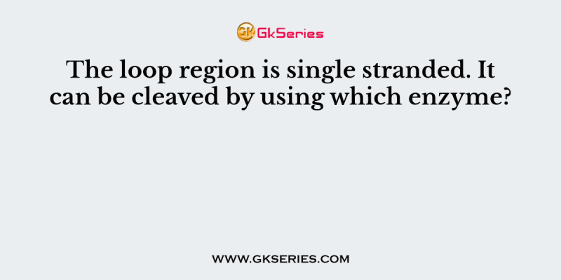 The loop region is single stranded. It can be cleaved by using which enzyme?