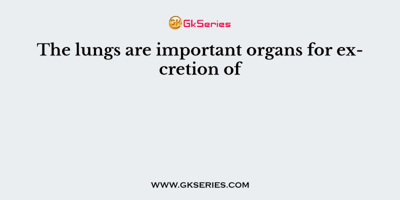 The lungs are important organs for excretion of