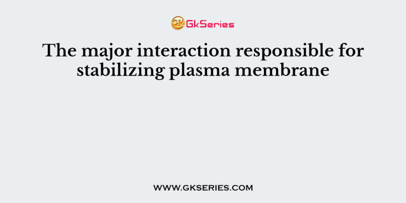 The major interaction responsible for stabilizing plasma membrane