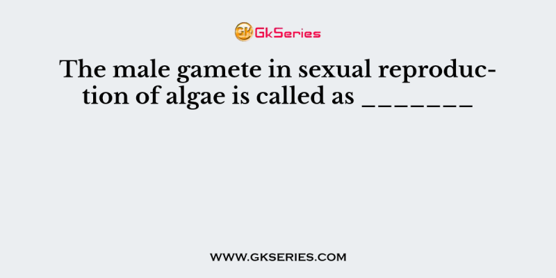 The male gamete in sexual reproduction of algae is called as _______
