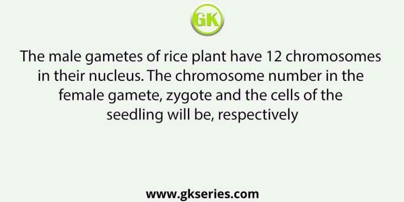 The male gametes of rice plant have 12 chromosomes in their nucleus. The chromosome number in the female gamete, zygote and the cells of the seedling will be, respectively
