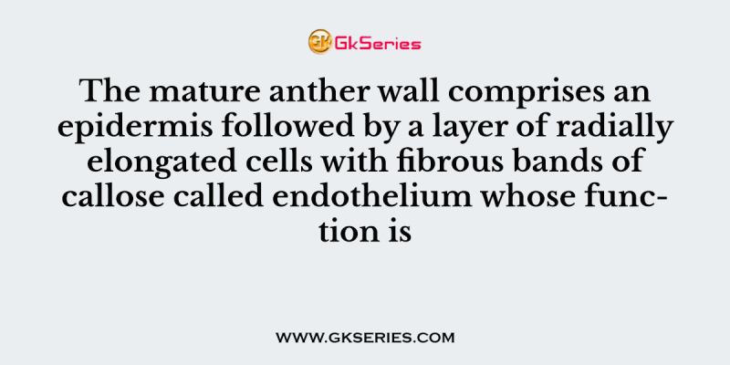 The mature anther wall comprises an epidermis followed by a layer of radially elongated cells with fibrous bands of callose called endothelium whose function is