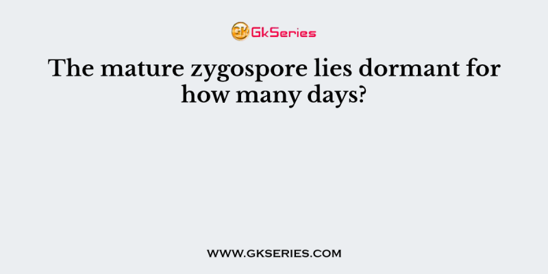 The mature zygospore lies dormant for how many days?
