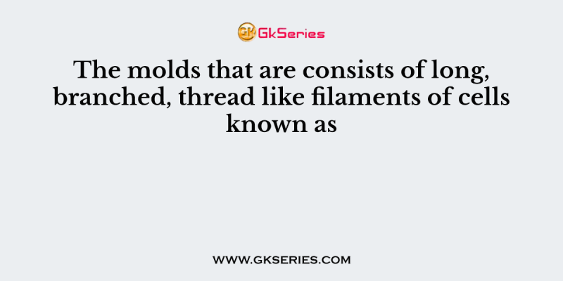The molds that are consists of long, branched, thread like filaments of cells known as