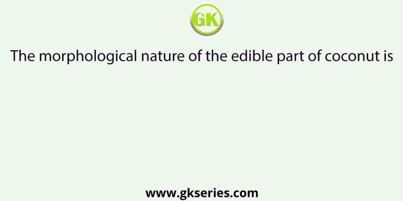 The morphological nature of the edible part of coconut is