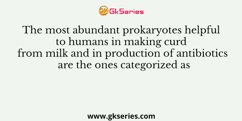 The most abundant prokaryotes helpful to humans in making curd from milk and in production of antibiotics are the ones categorized as
