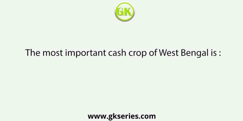The most important cash crop of West Bengal is :