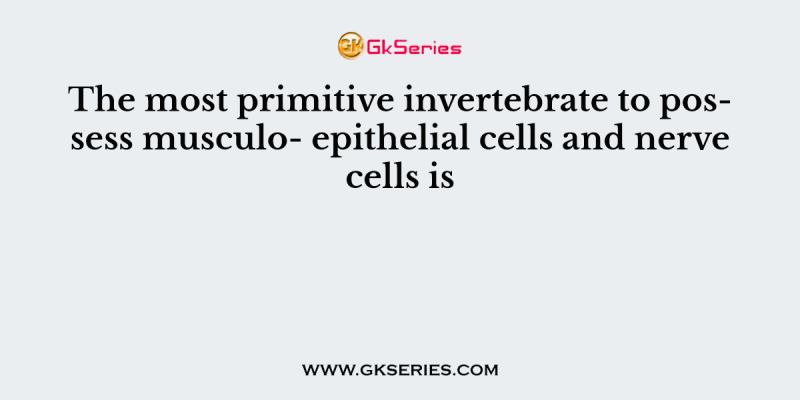 The most primitive invertebrate to possess musculo- epithelial cells and nerve cells is