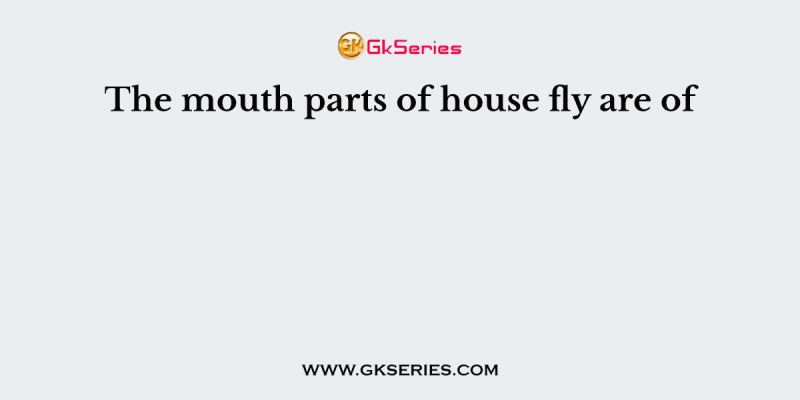The mouth parts of house fly are of