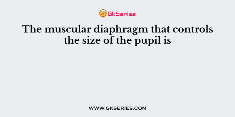 The muscular diaphragm that controls the size of the pupil is