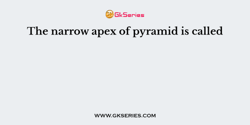 The narrow apex of pyramid is called