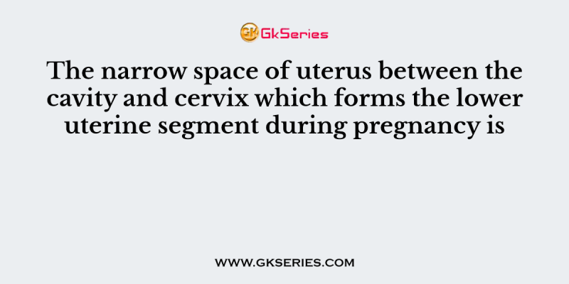 The narrow space of uterus between the cavity and cervix which forms the lower uterine segment during pregnancy is