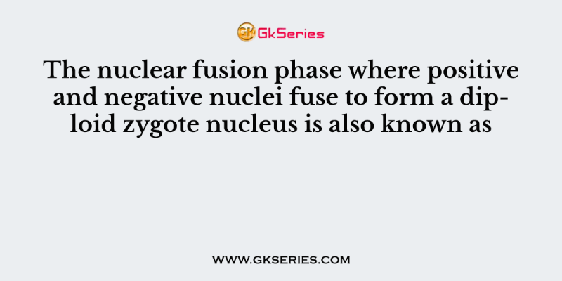 The nuclear fusion phase where positive and negative nuclei fuse to form a diploid zygote nucleus is also known as