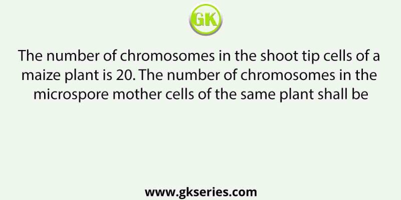 The number of chromosomes in the shoot tip cells of a maize plant is 20. The number of chromosomes in the microspore mother cells of the same plant shall be